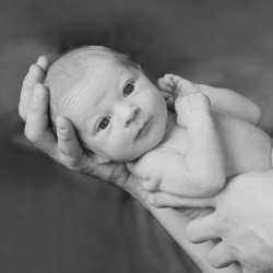 Babyfotografie